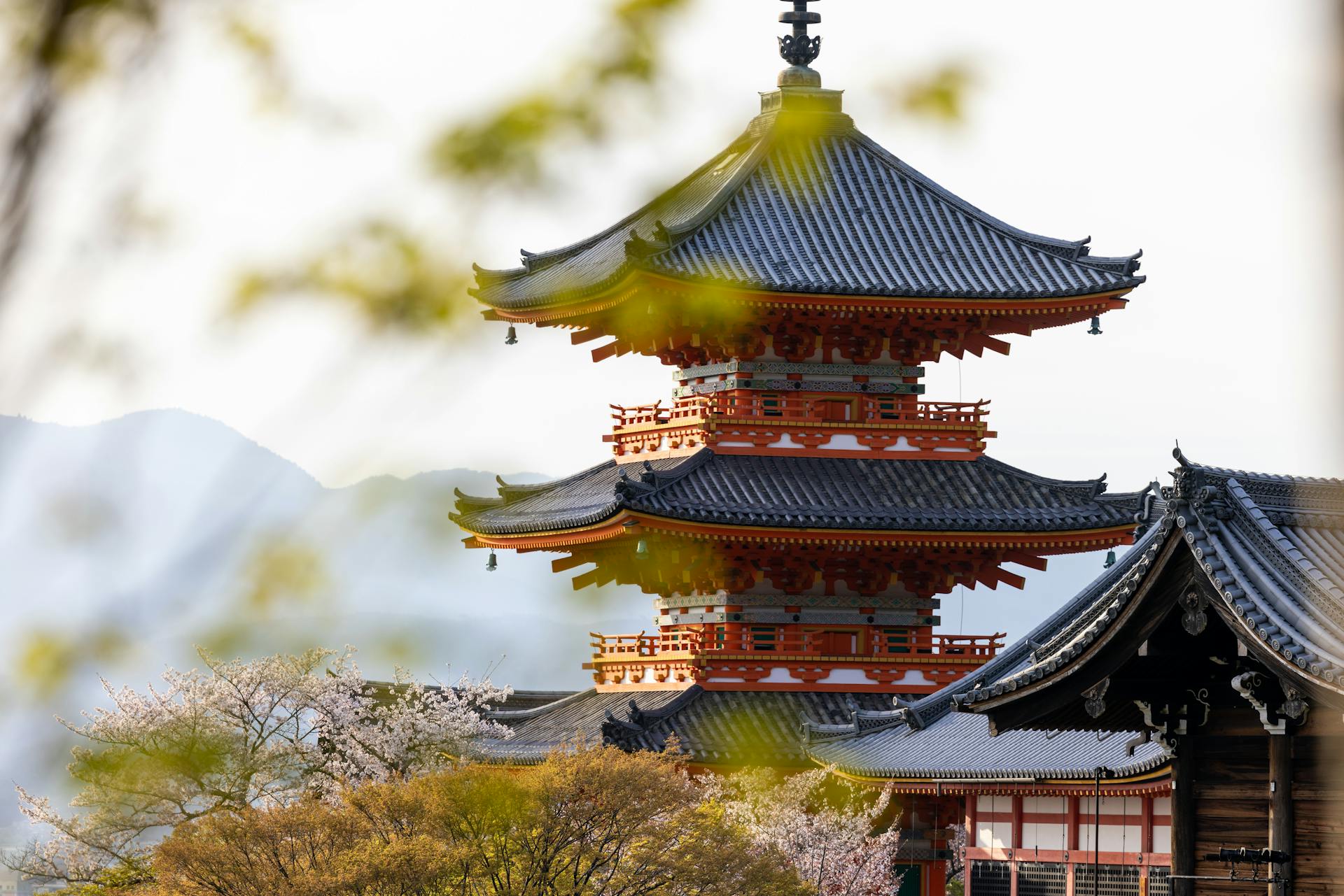 Why Japan Is One of the Most Fascinating Luxury Destinations Right Now
